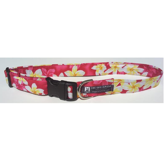 Hawaiian Fabric Over Webbing Adjustable Dog Collar--"Hot Pink Plumeria" Hand Made in Hawaii with Aloha