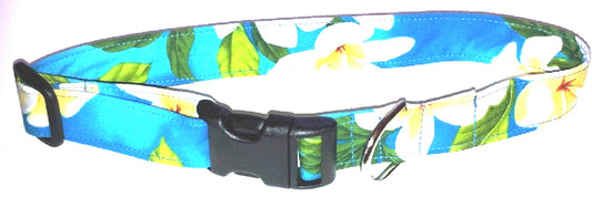 Hawaiian Fabric Over Webbing Adjustable Dog Collar--"Plumeria Turquoise" Hand Made in Hawaii with Aloha