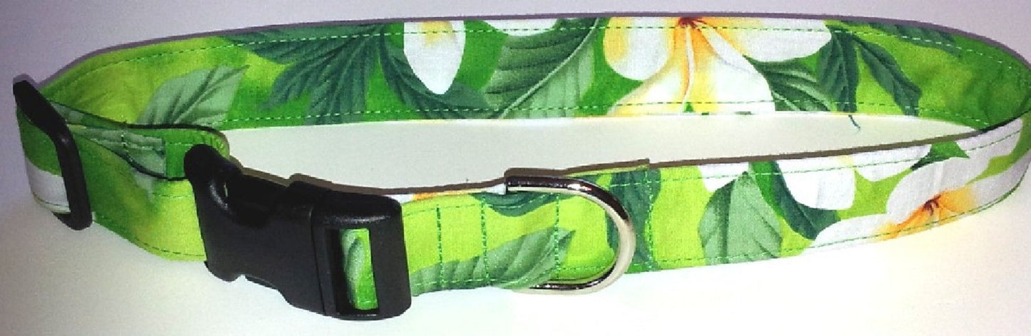 Hawaiian Fabric Over Webbing Adjustable Dog Collar--"Plumeria Lime" Hand Made in Hawaii with Aloha